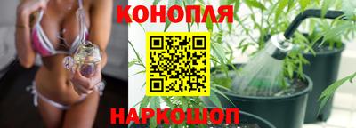 шишки Мариинск
