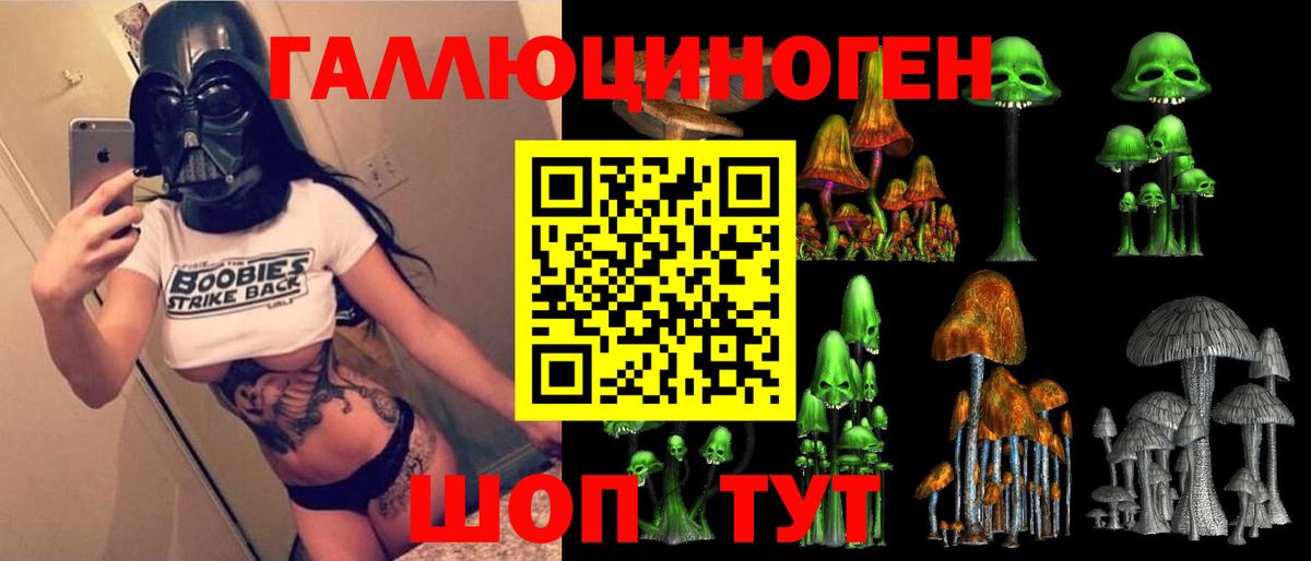 Геленджик  Галлюциногенные грибы Magic Shrooms  Вход с VPN 